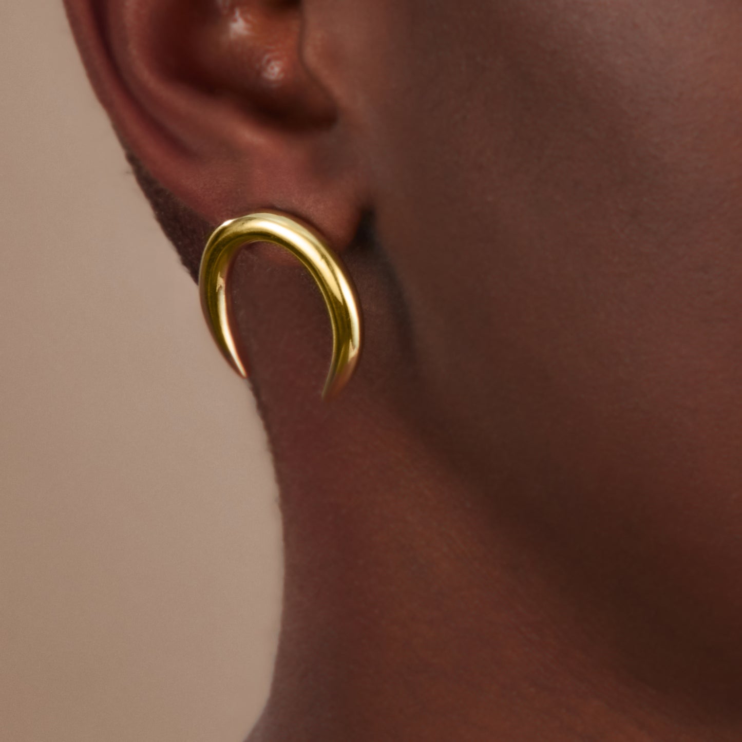 Horn Studs