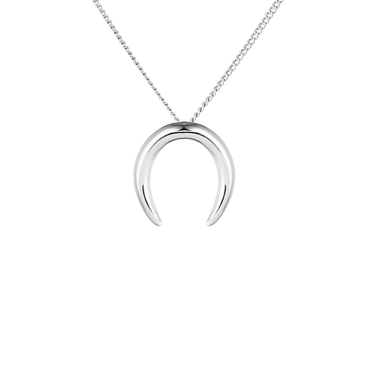 Horn Necklace