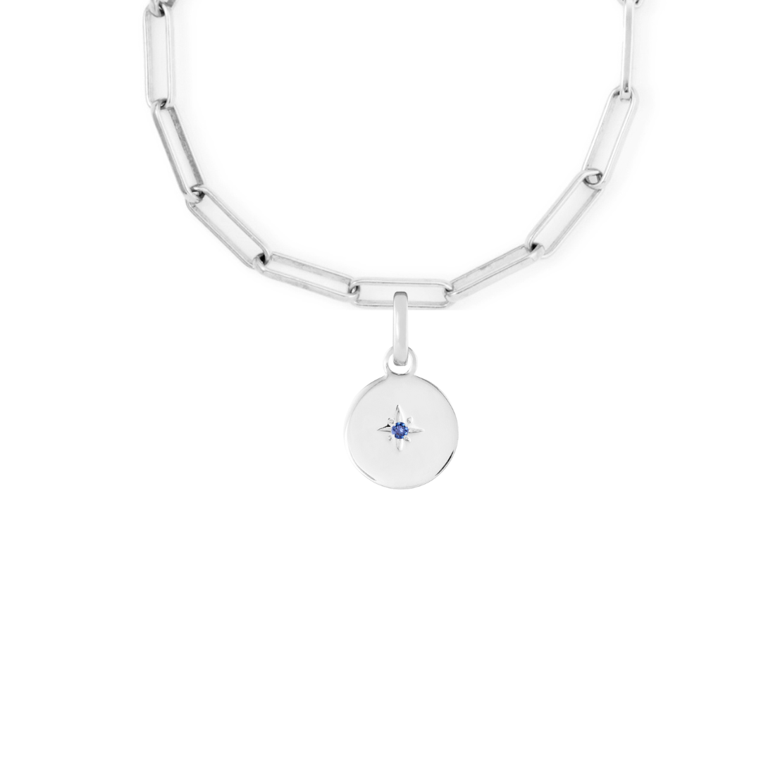 Birthstone Disk Silver Clip Charm