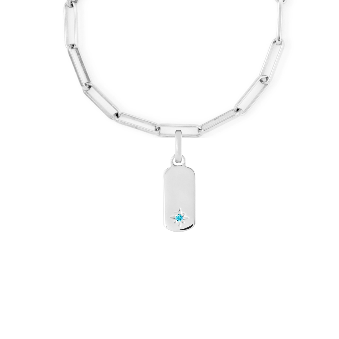 Birthstone Tag Silver Clip Charm