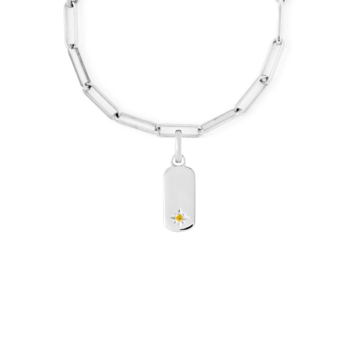 Birthstone Tag Silver Clip Charm