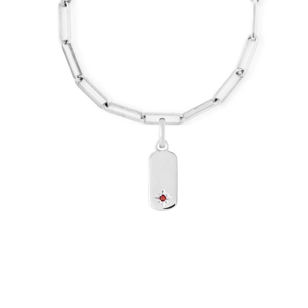 Birthstone Tag Silver Clip Charm