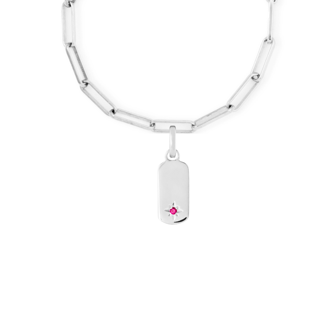 Birthstone Tag Silver Clip Charm