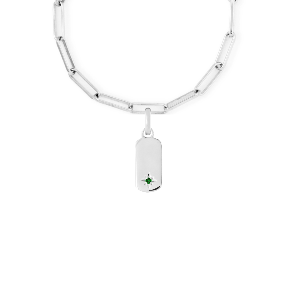 Birthstone Tag Silver Clip Charm