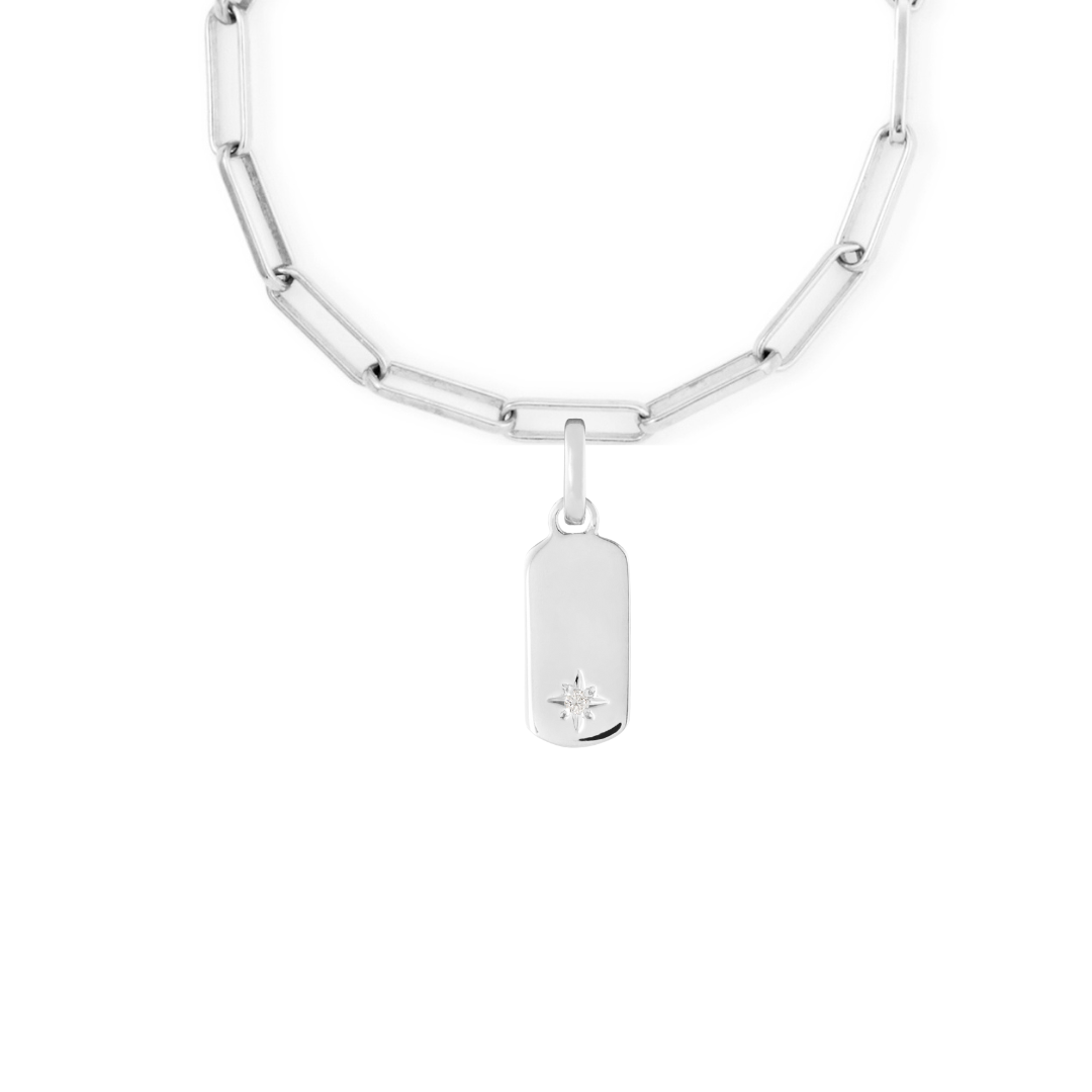 Birthstone Tag Silver Clip Charm