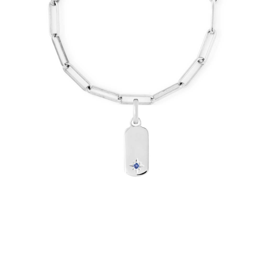 Birthstone Tag Silver Clip Charm