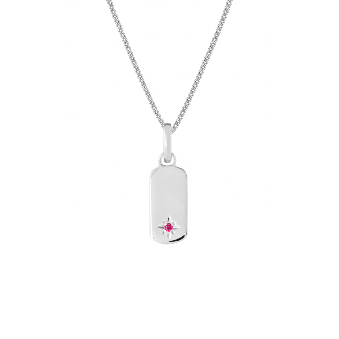 Birthstone Tag Silver Clip Charm