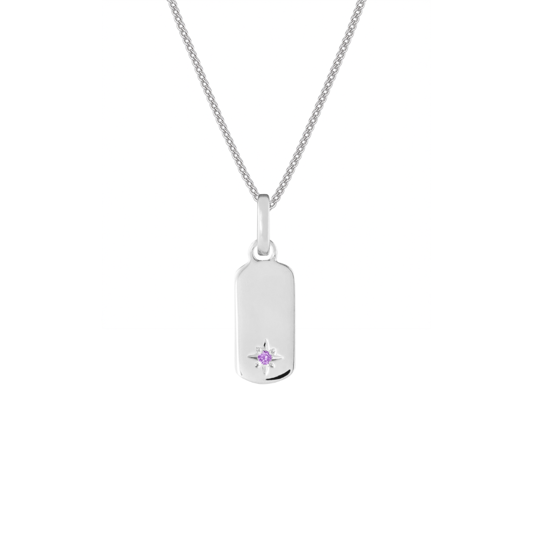 Birthstone Tag Silver Clip Charm