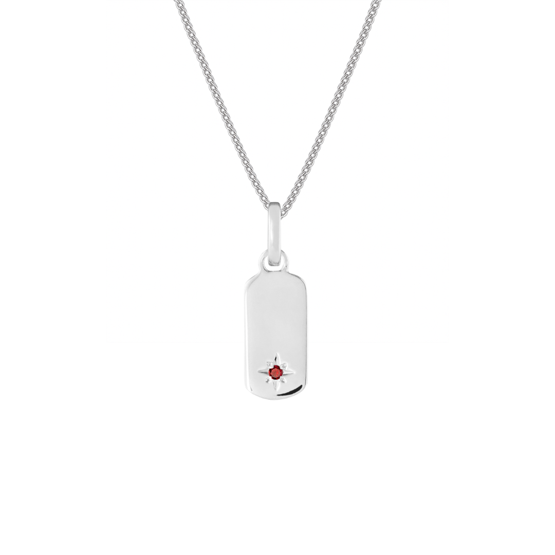 Birthstone Tag Silver Clip Charm