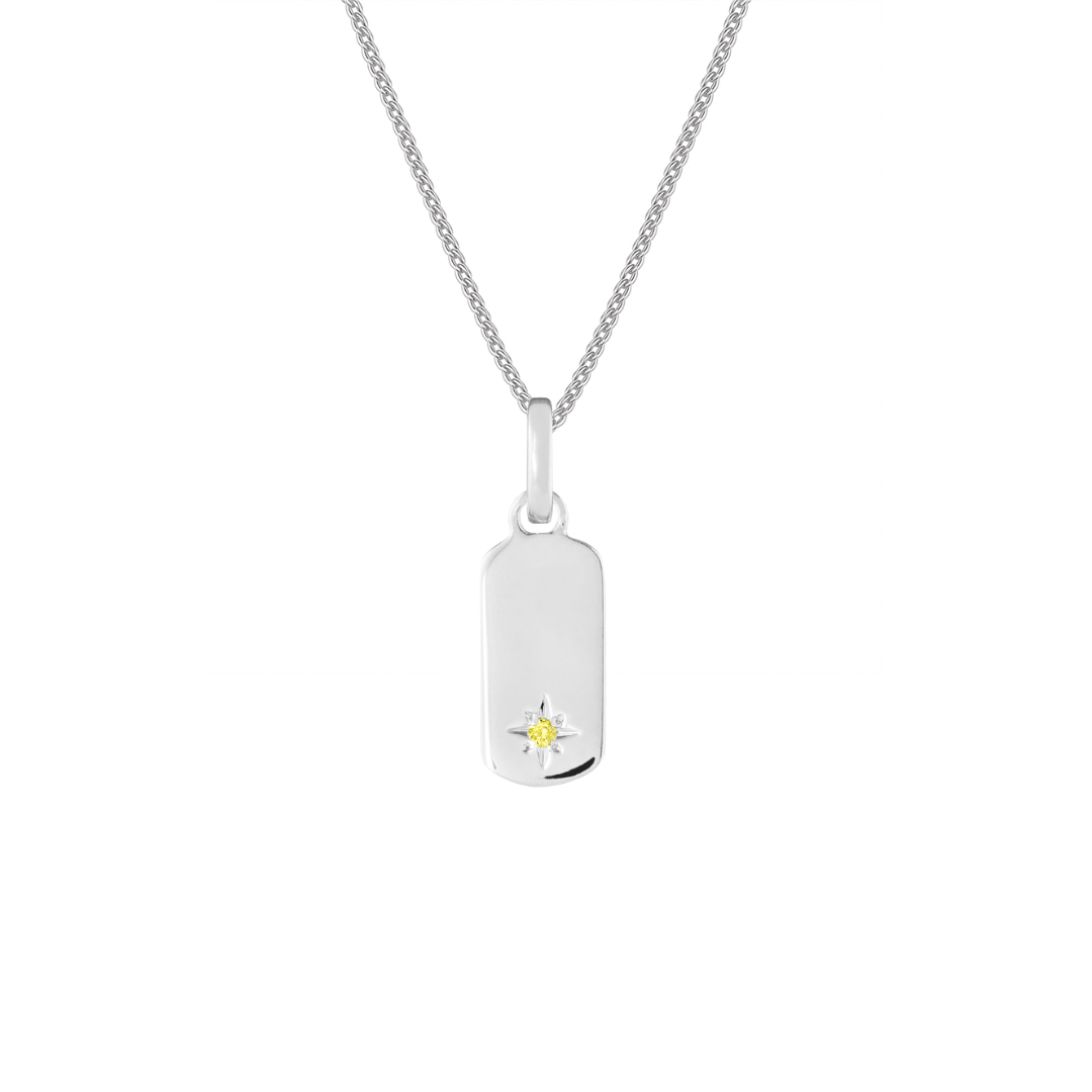 Birthstone Tag Silver Clip Charm