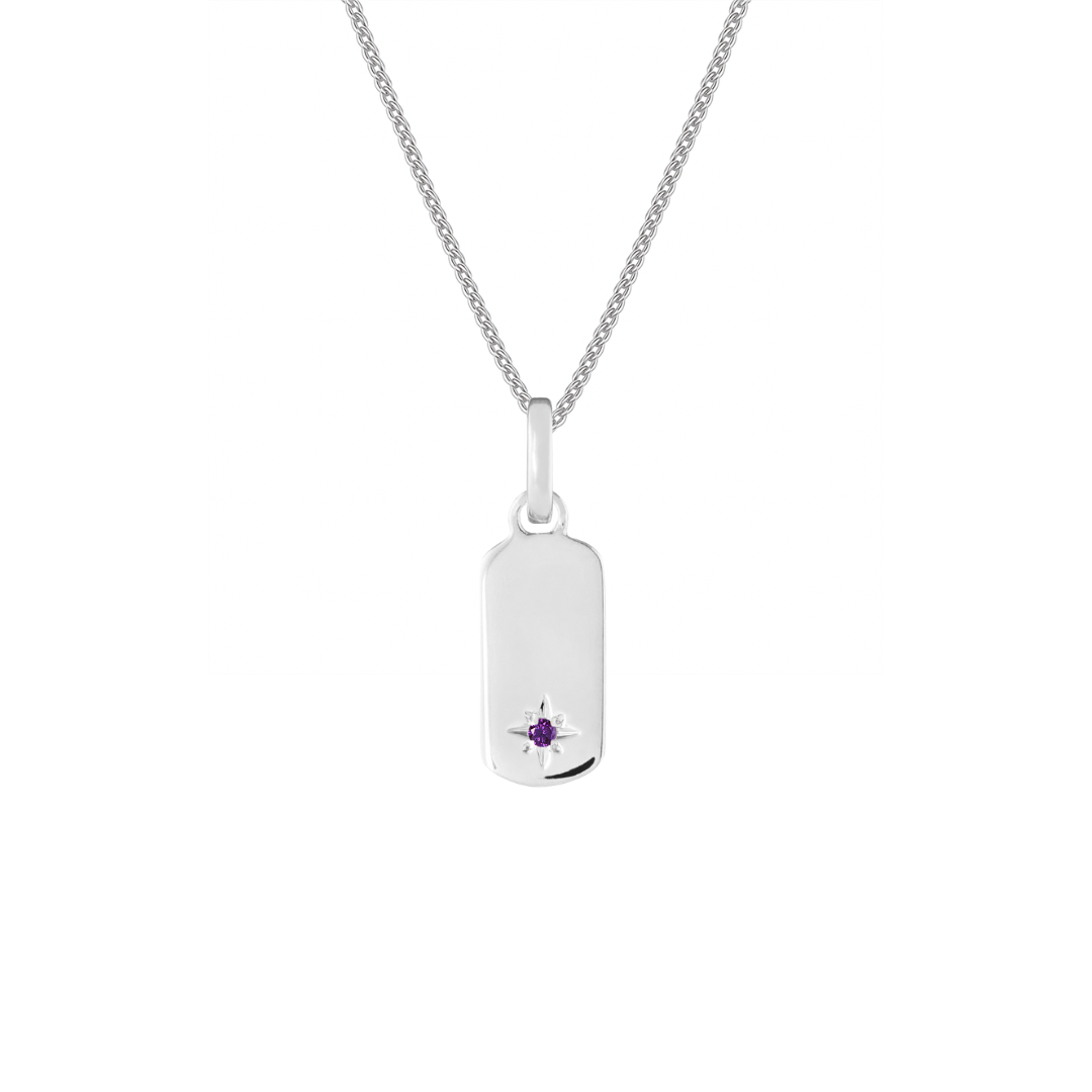 Birthstone Tag Silver Clip Charm