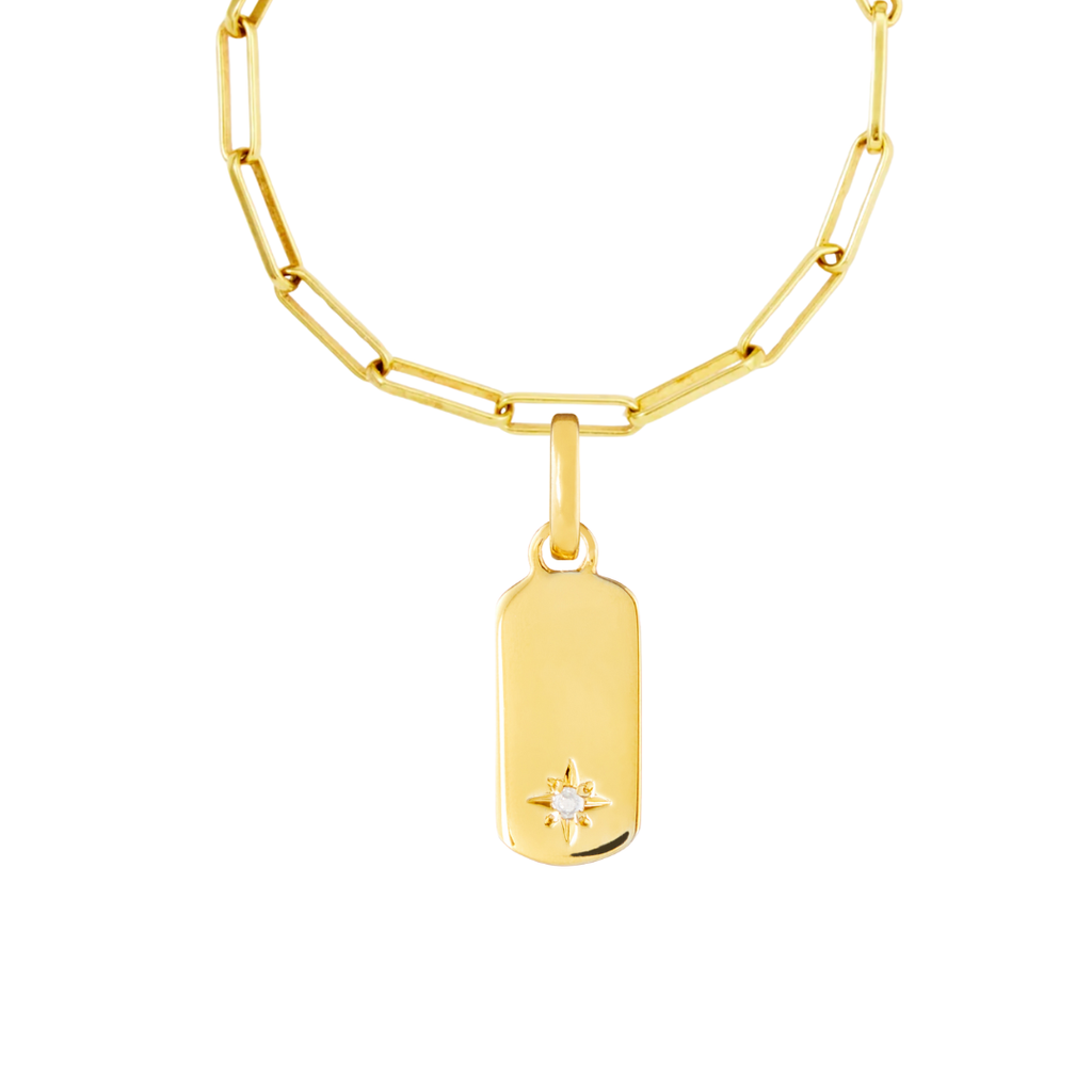 Birthstone Tag 9ct Gold Clip Charms