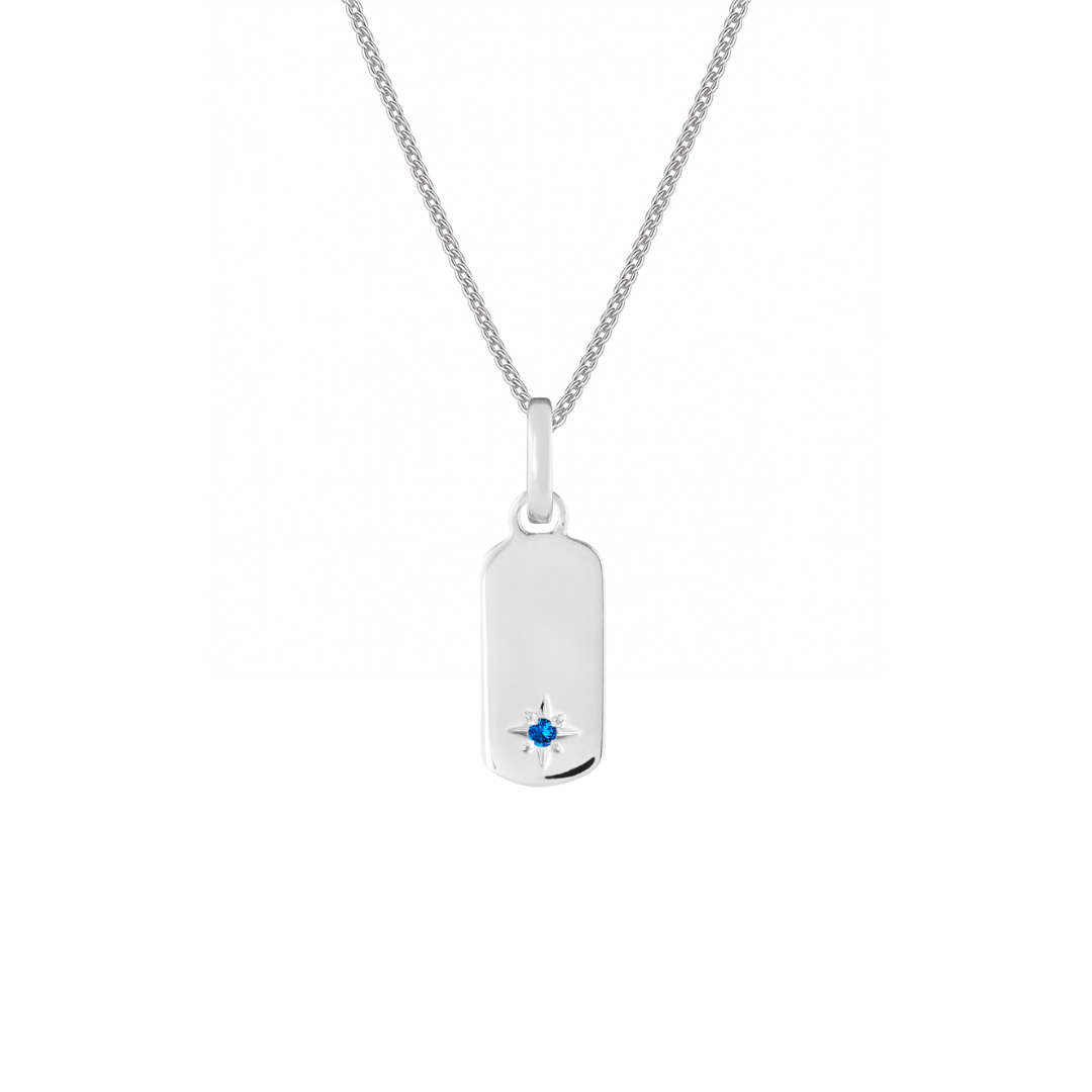 Birthstone Tag Silver Clip Charm