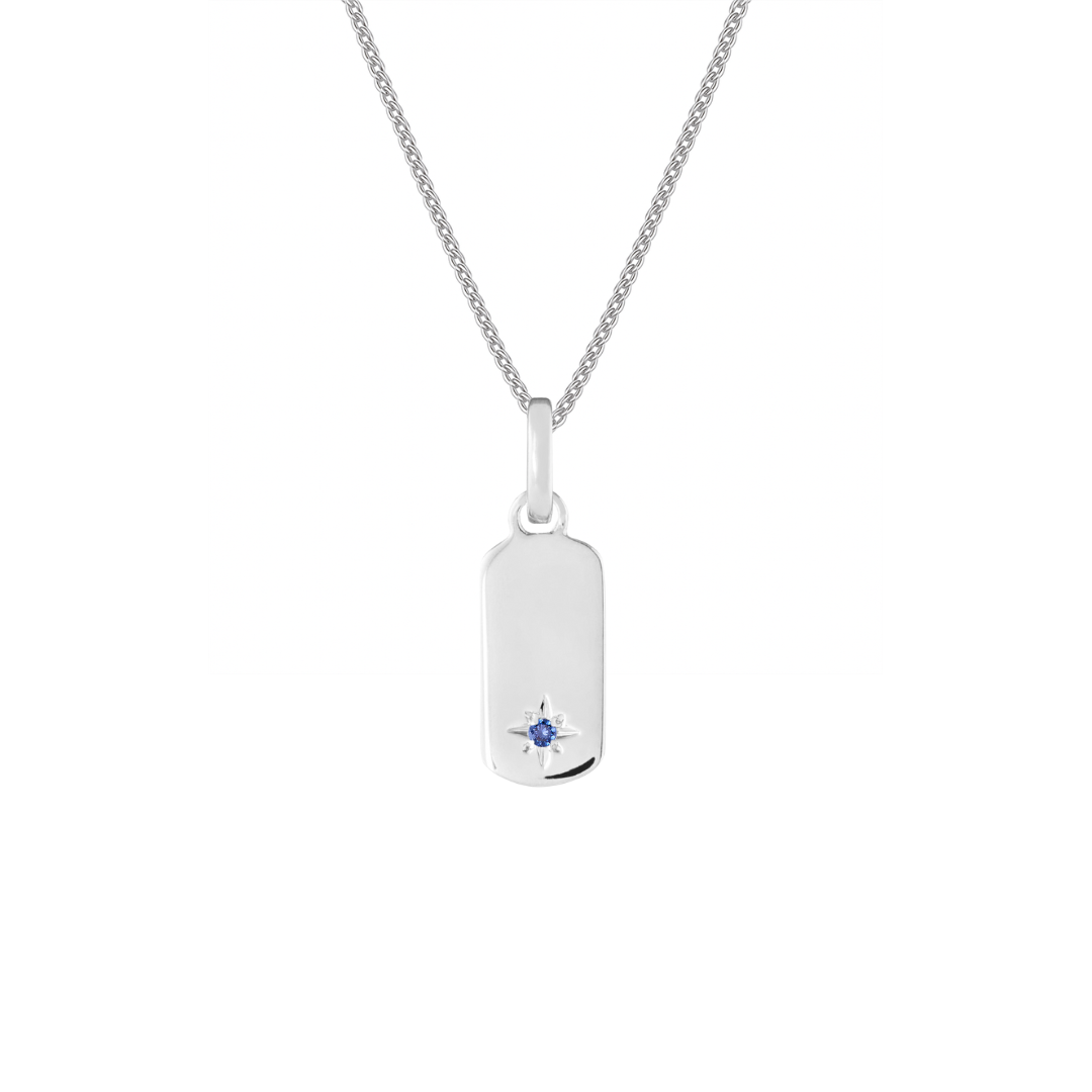 Birthstone Tag Silver Clip Charm