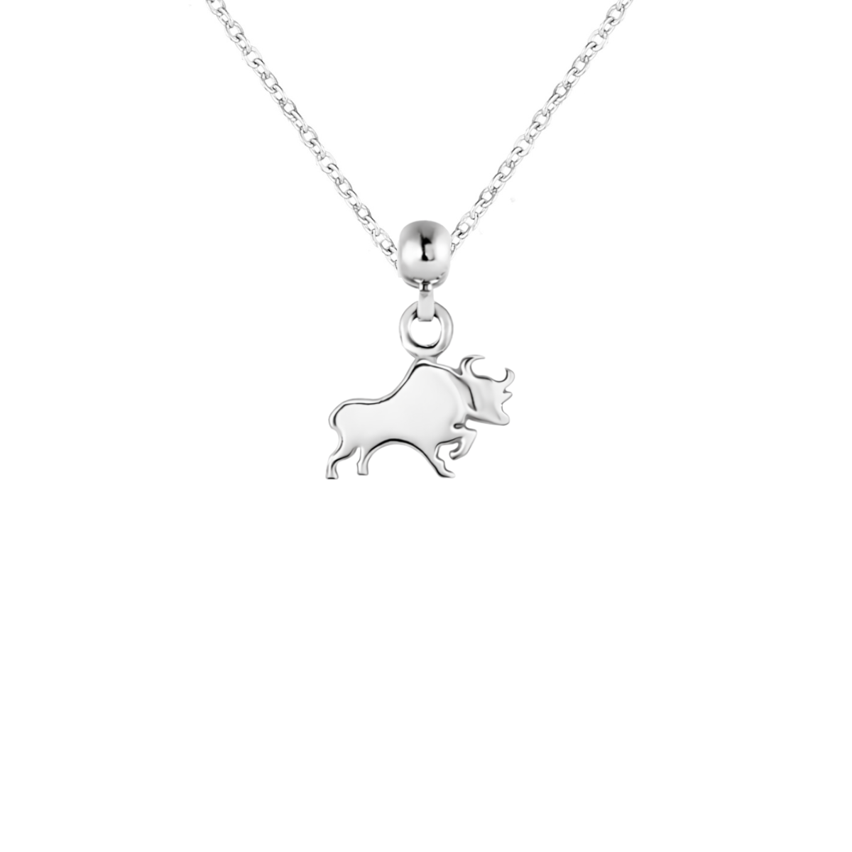Buffalo Silver Charm