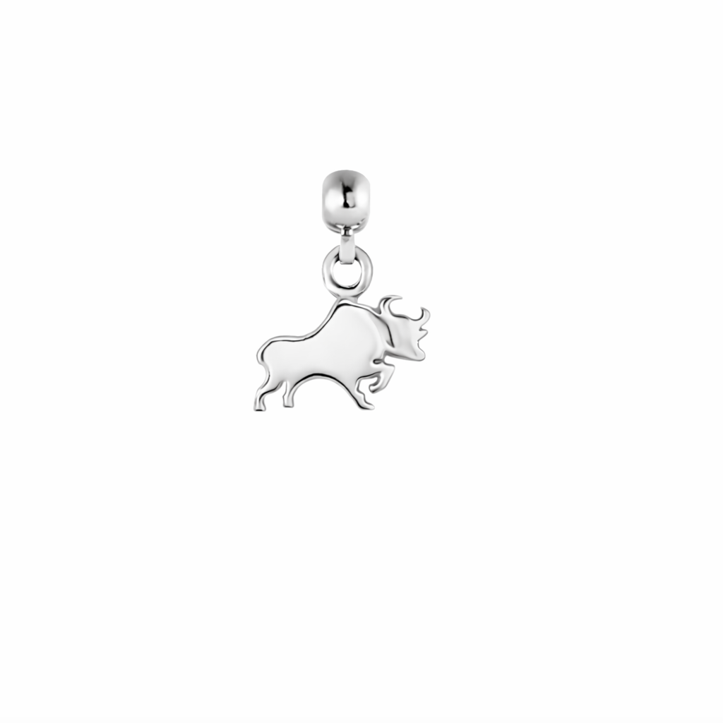 Buffalo Silver Charm
