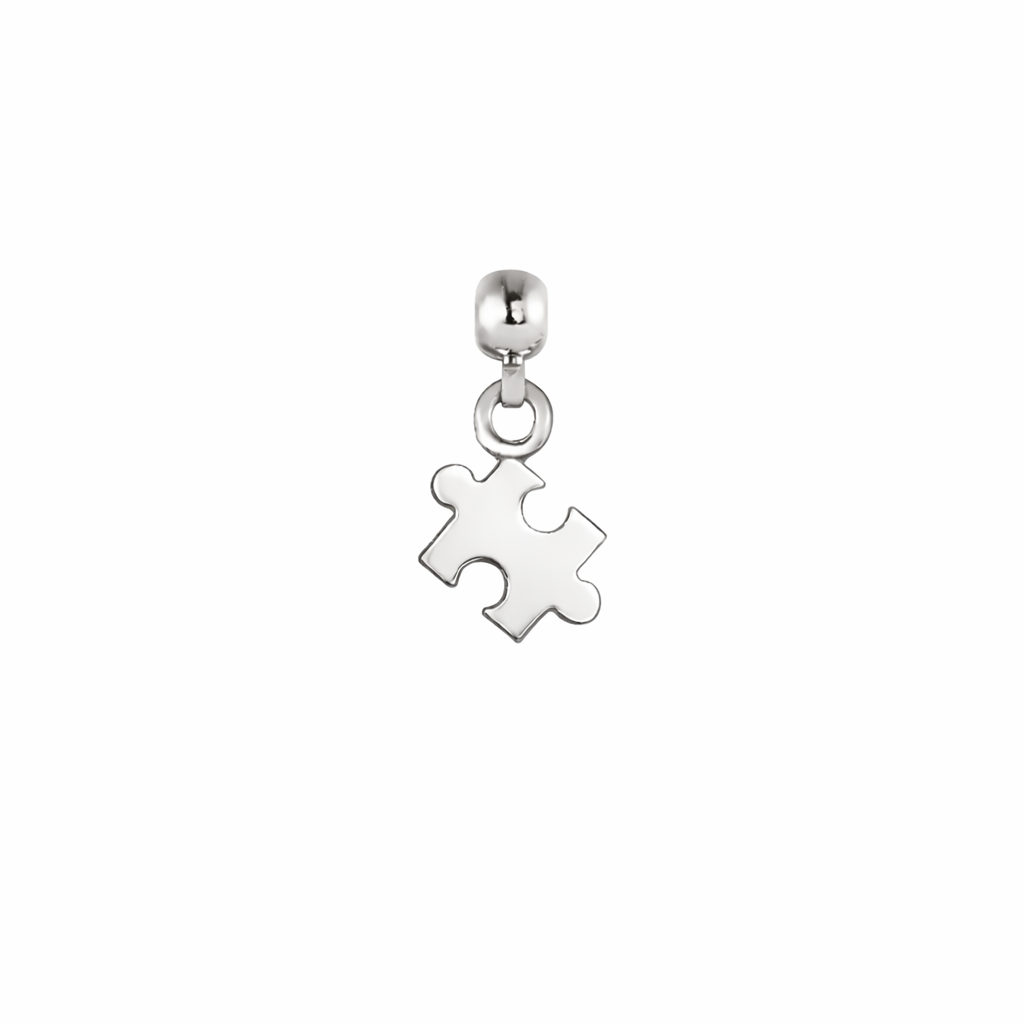 Puzzle Silver Charm