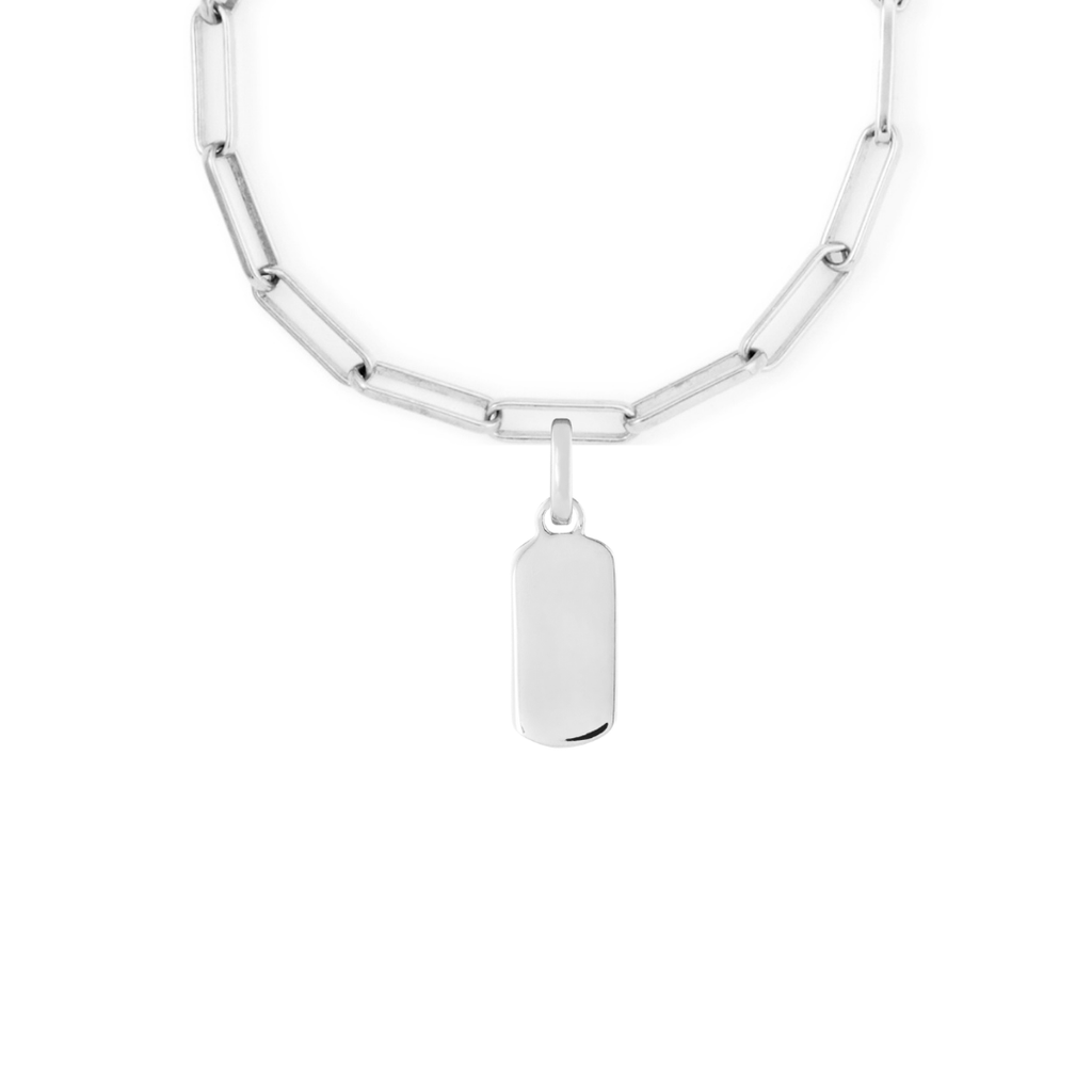 Birthstone Tag Silver Clip Charm