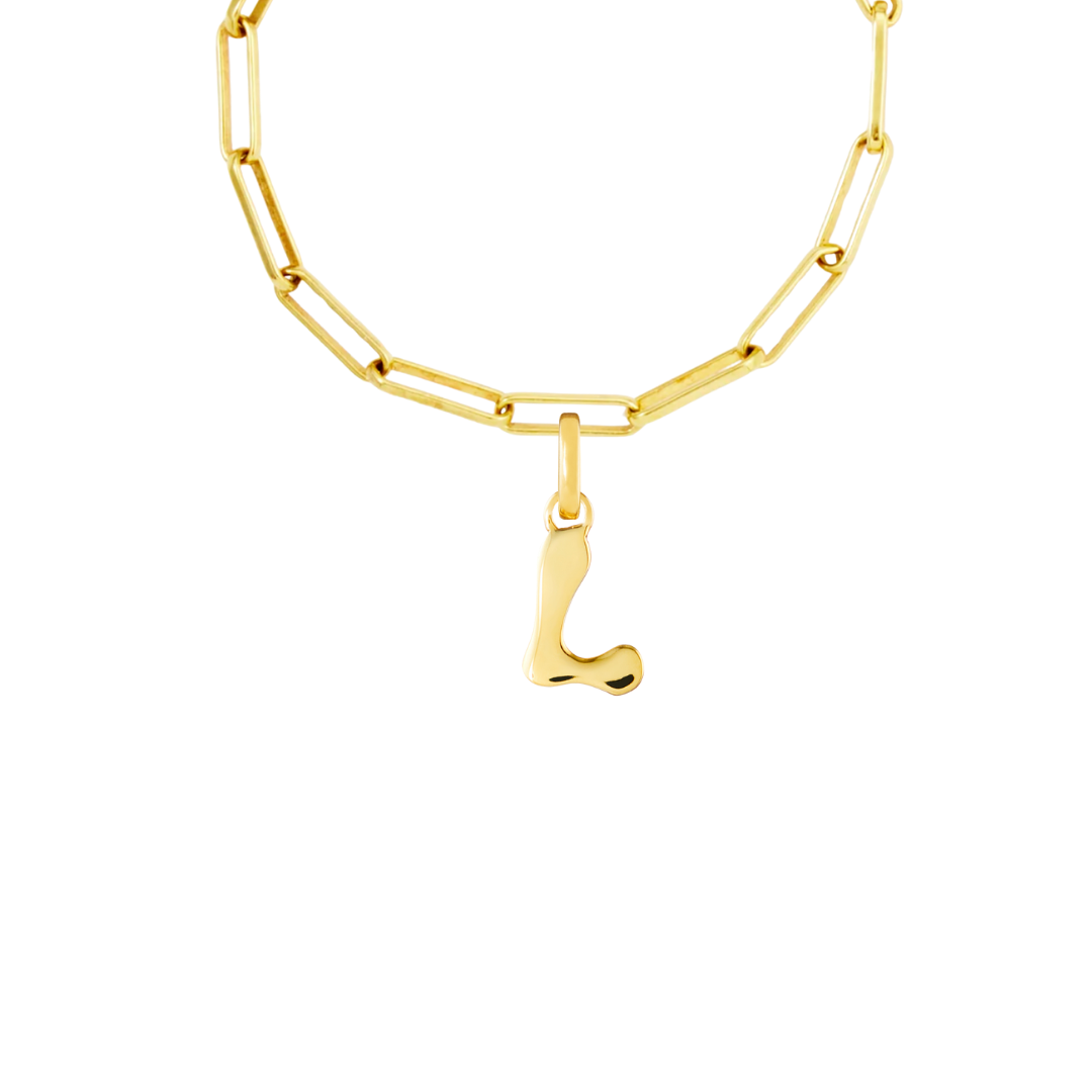 Gold Plated Clip Charm Starter Set