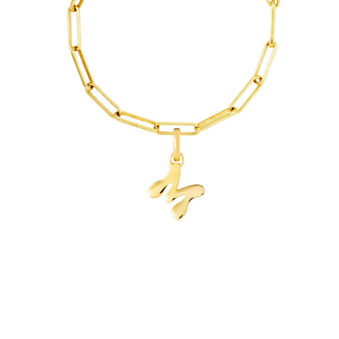Gold Plated Clip Charm Starter Set