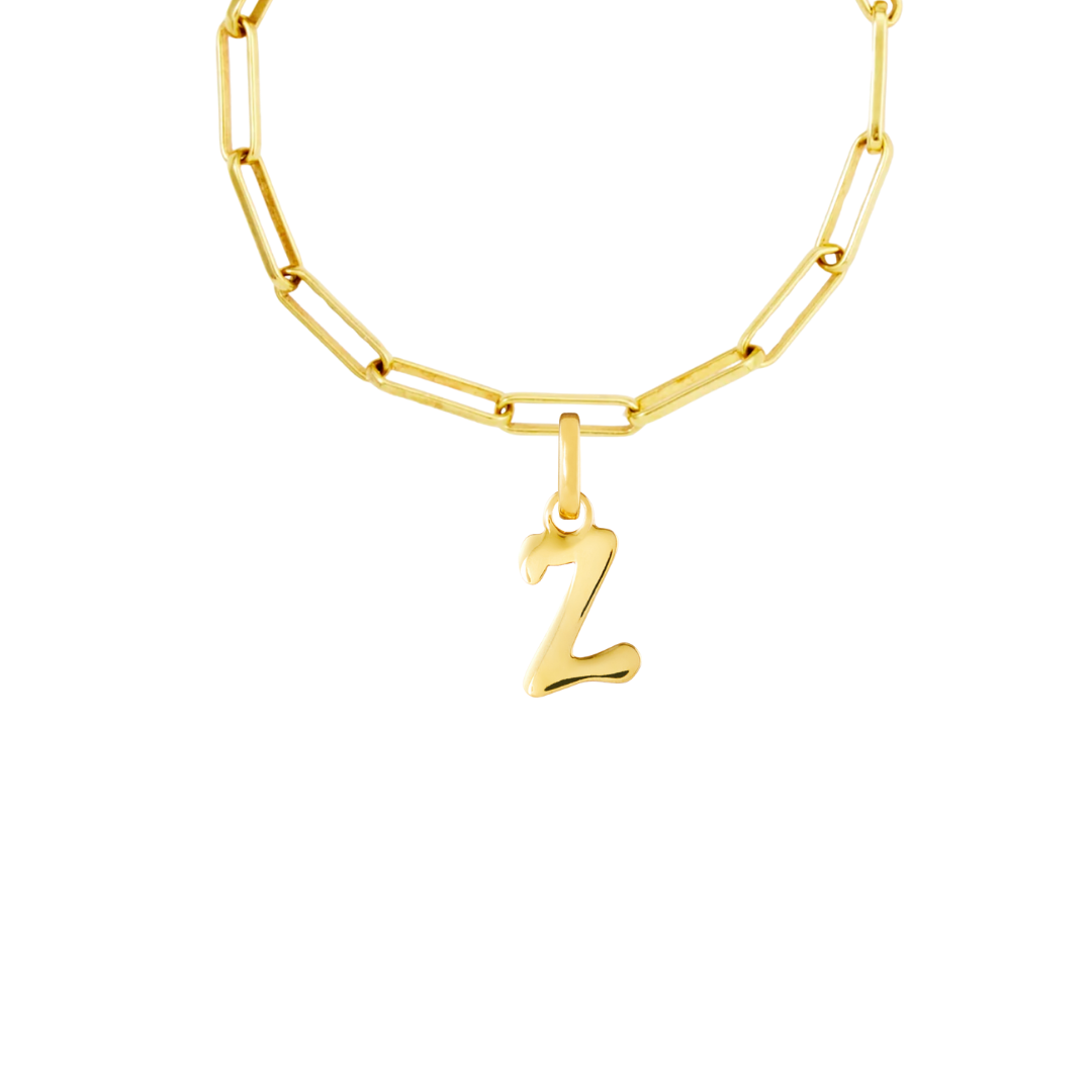 Gold Plated Clip Charm Starter Set