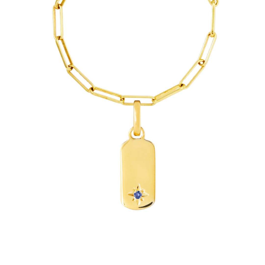 Birthstone Tag Gold Plated Clip Charms