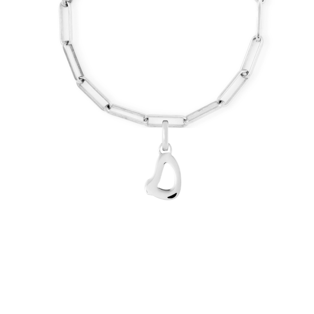 Silver Clip Charm Starter Set