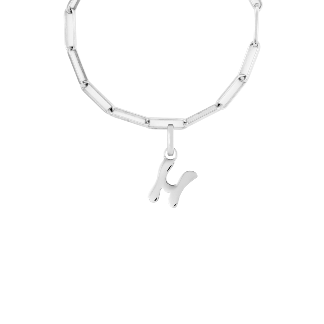 Silver Clip Charm Starter Set