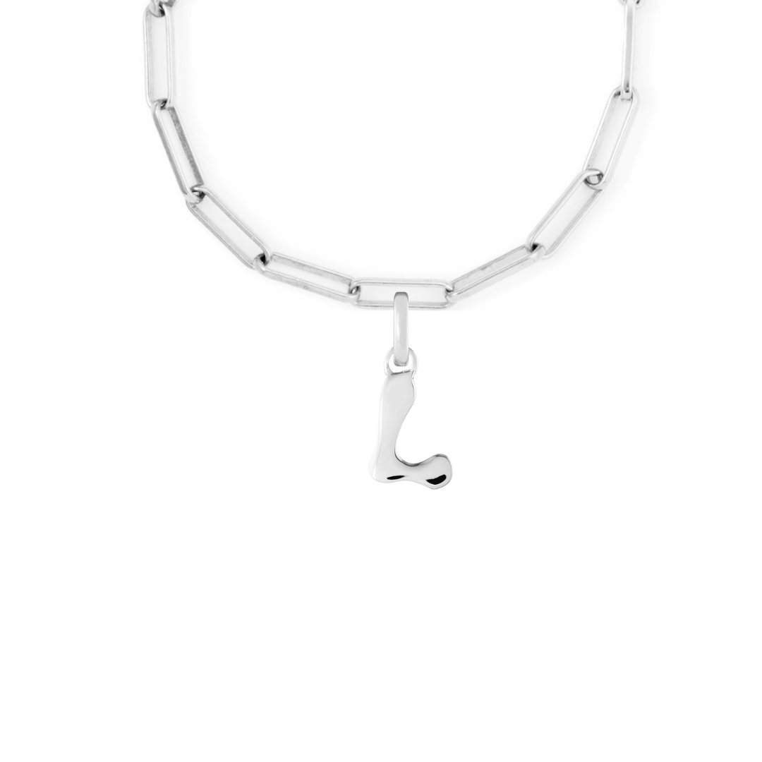 Silver Clip Charm Starter Set