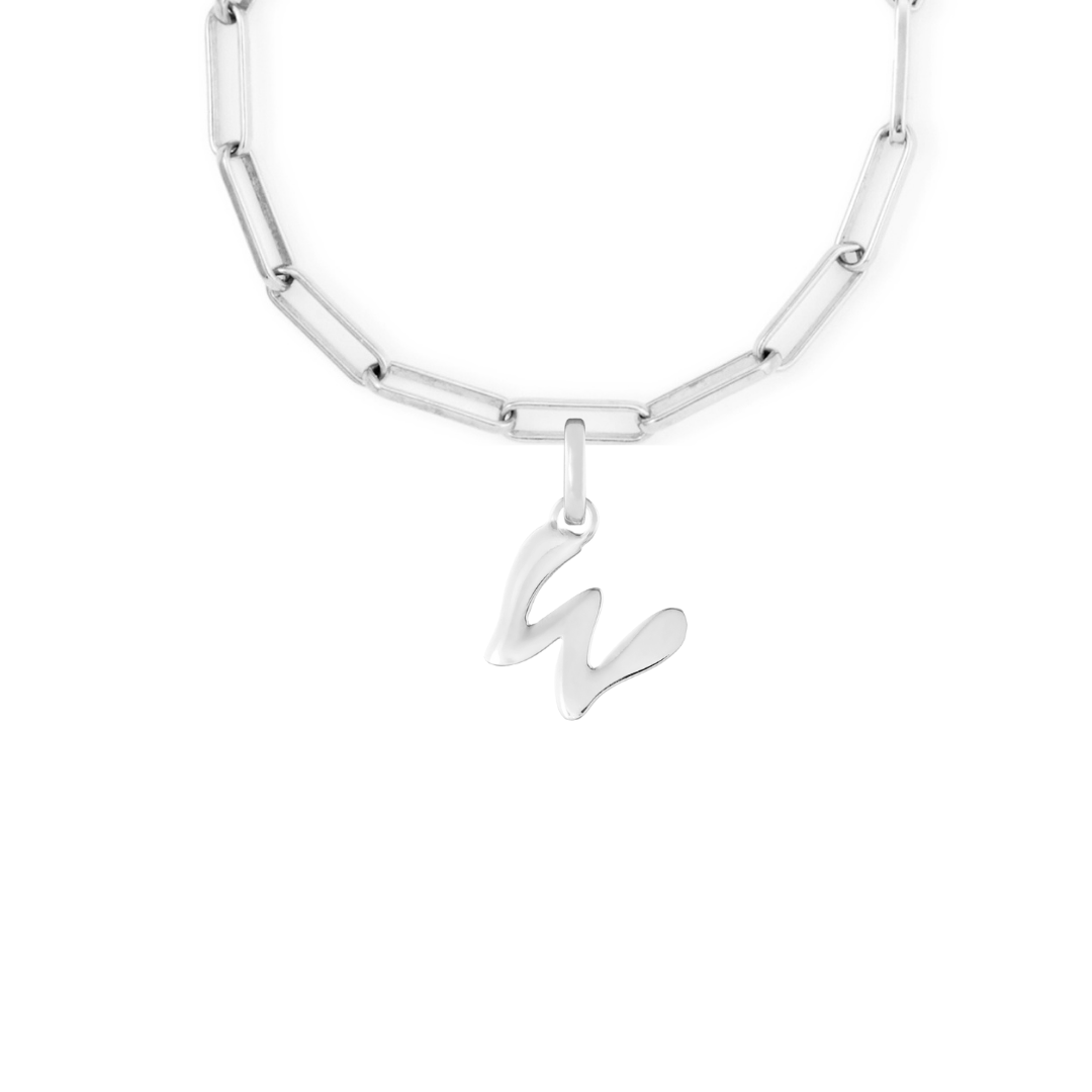 Silver Clip Charm Starter Set