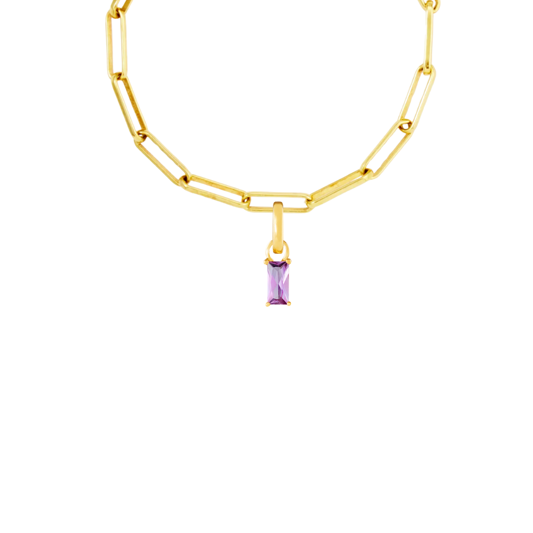 February Birthstone Gold Plated Clip Charm