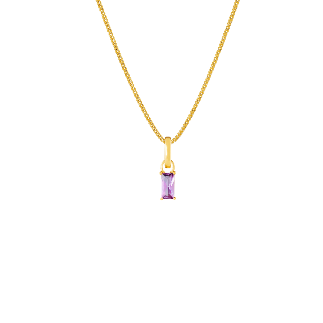 February Birthstone Gold Plated Clip Charm