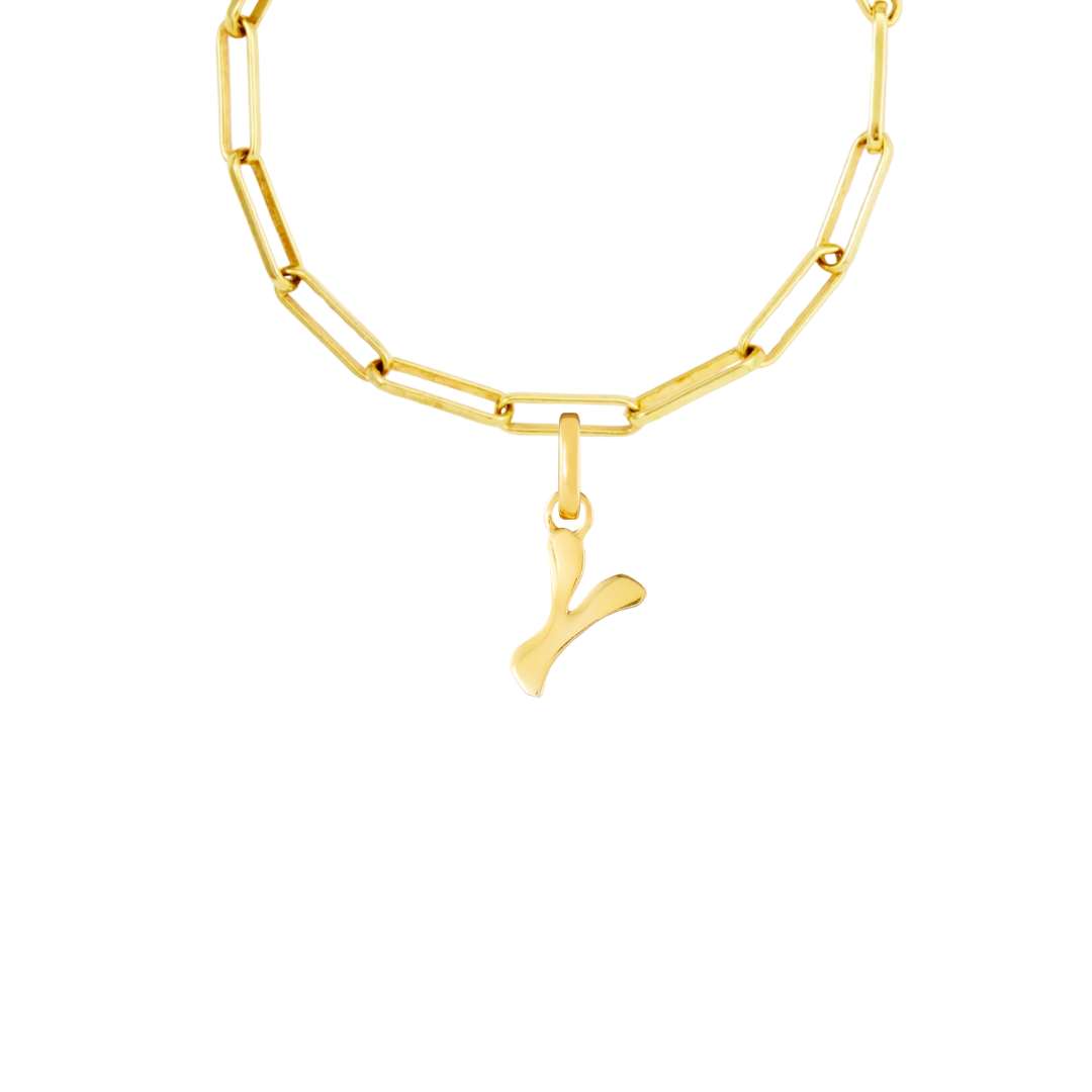 Gold Plated Clip Charm Starter Set