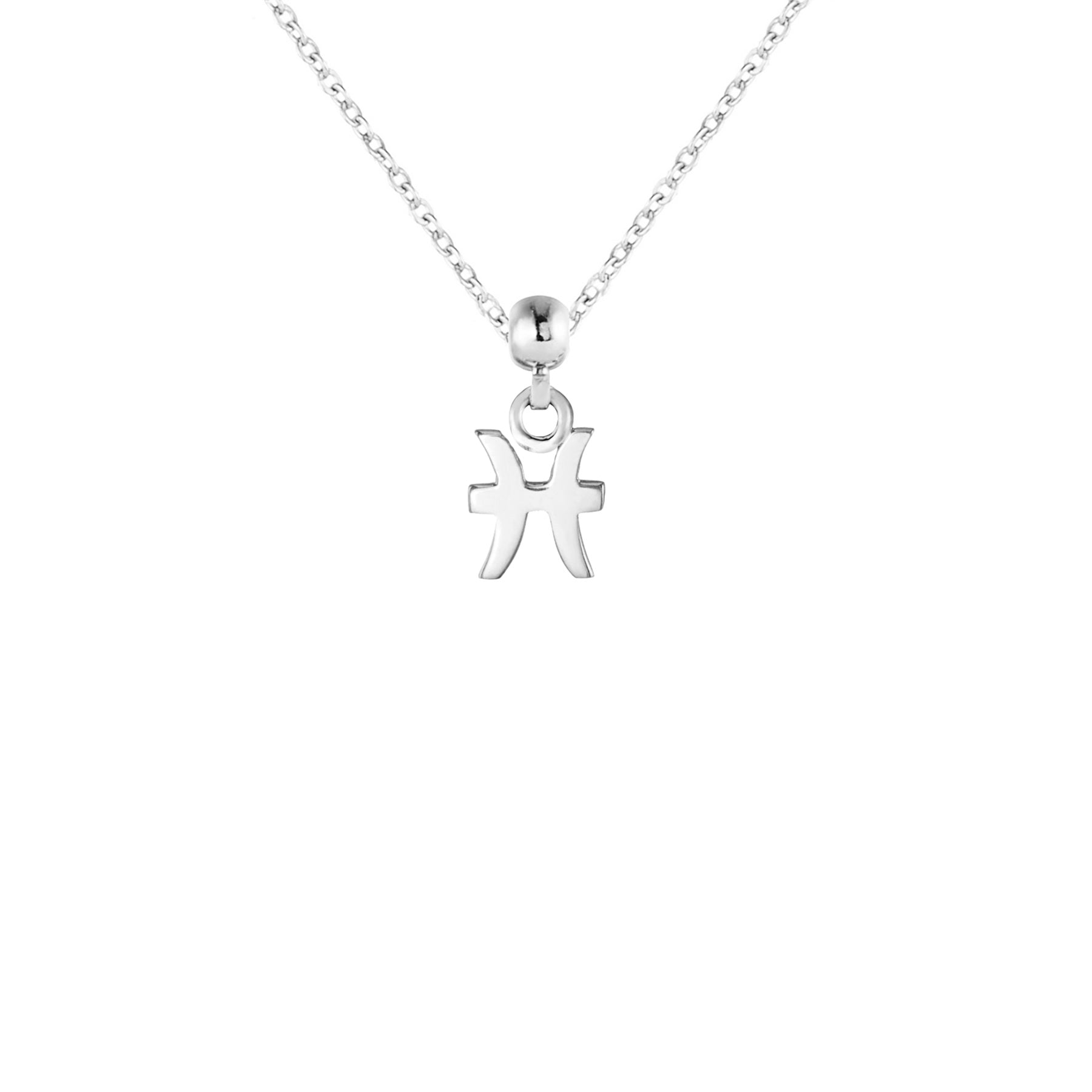 Pisces Silver Charm