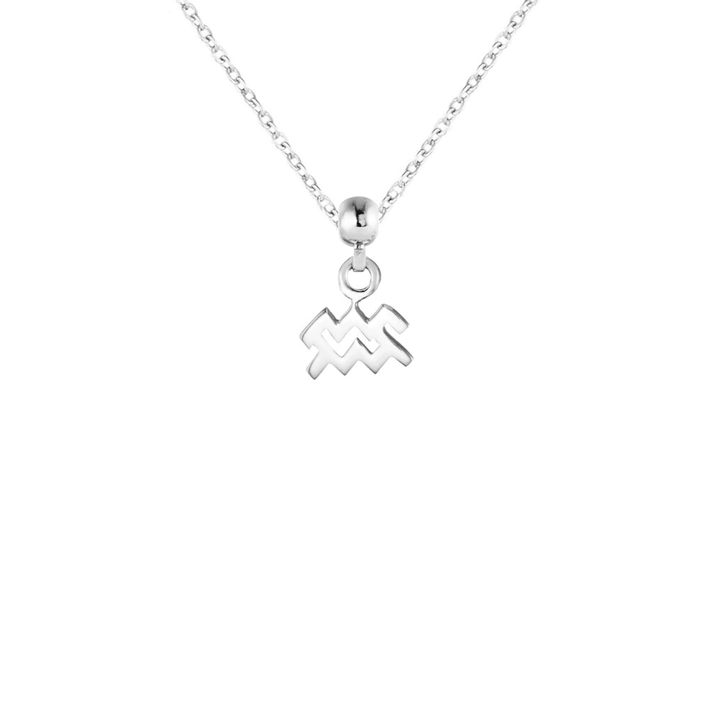 Aquarius Silver Charm