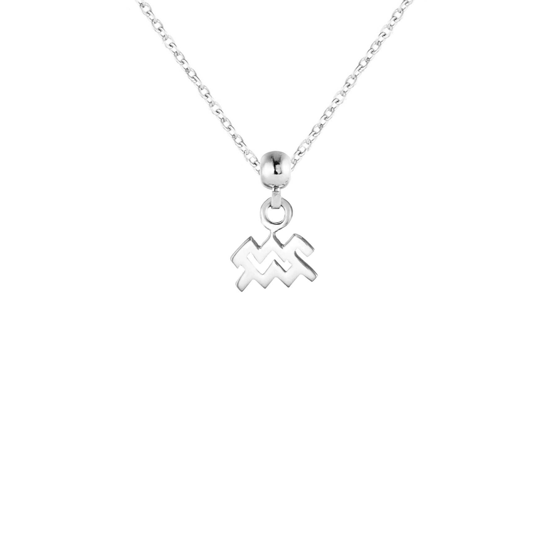Aquarius Silver Charm