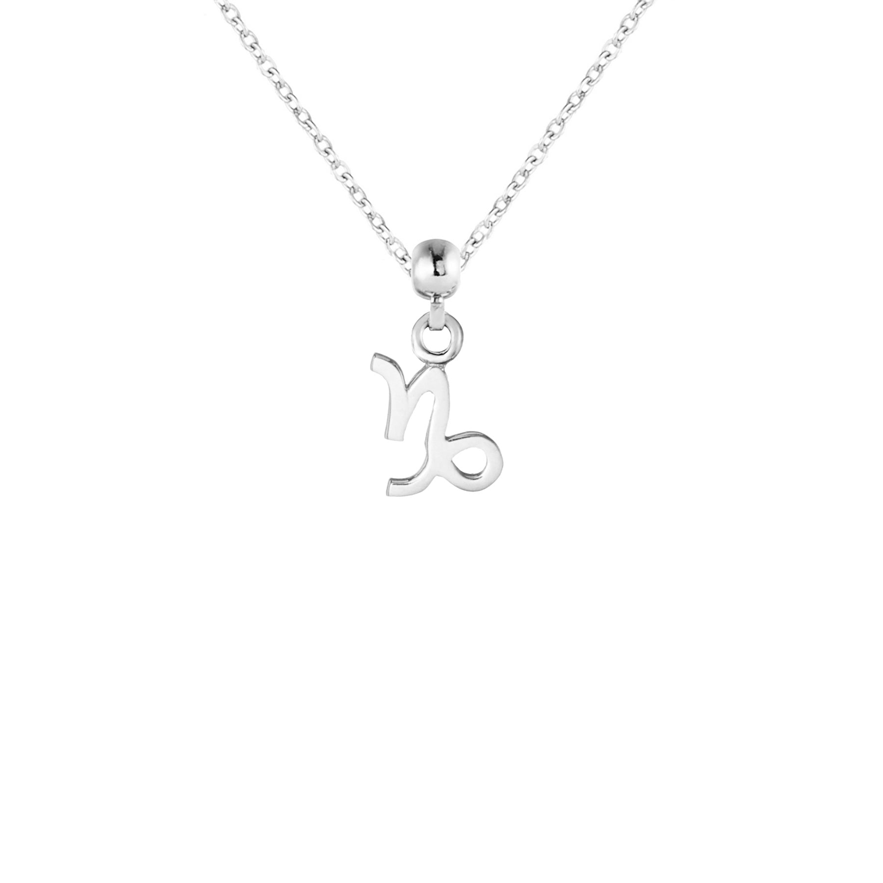 Capricorn Silver Charm