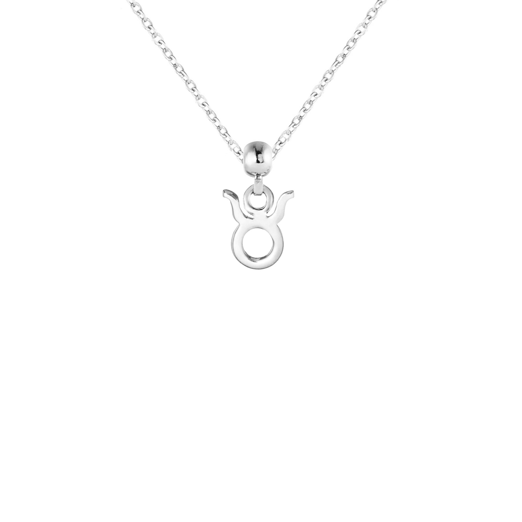 Taurus Silver Charm