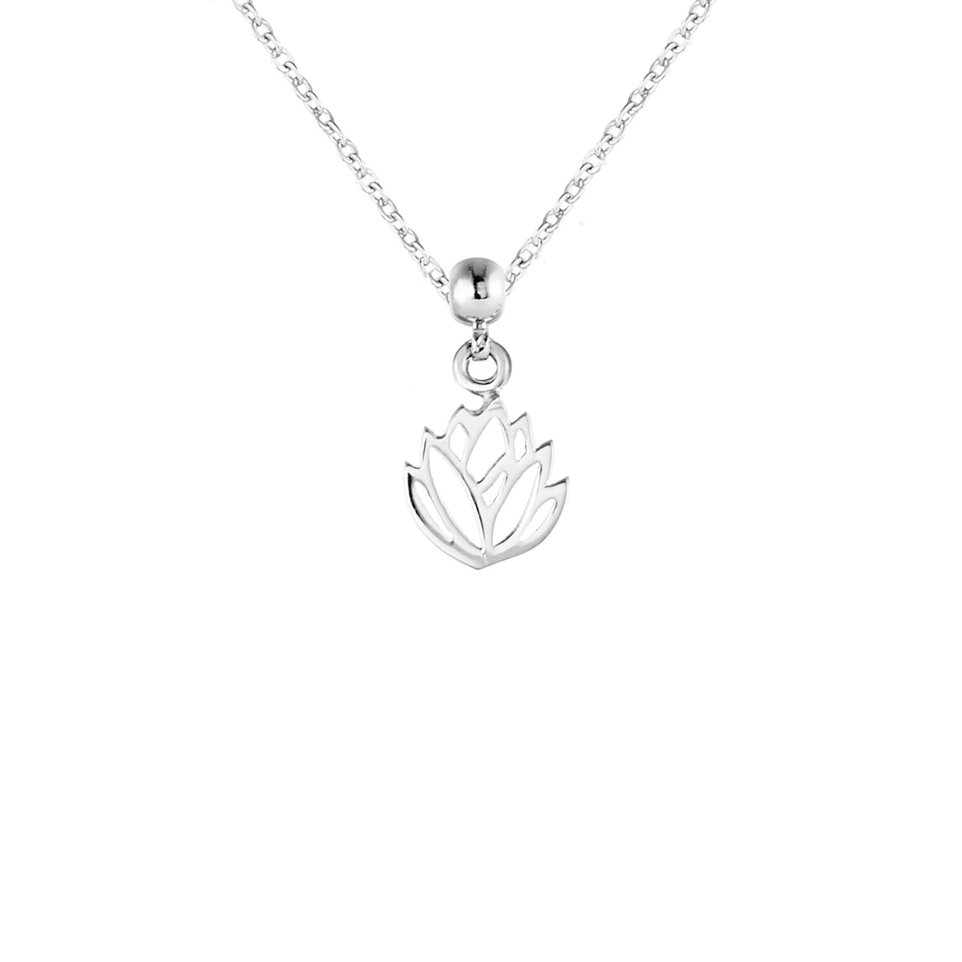Protea Silver Charm