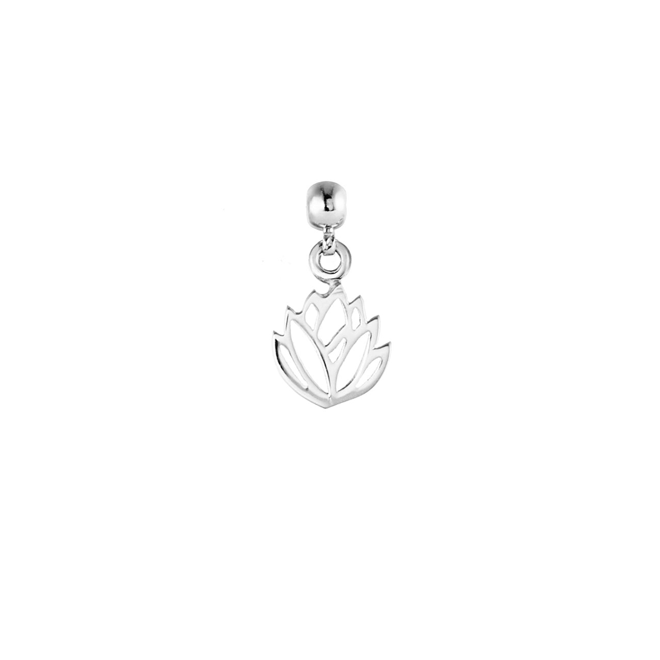 Protea Silver Charm