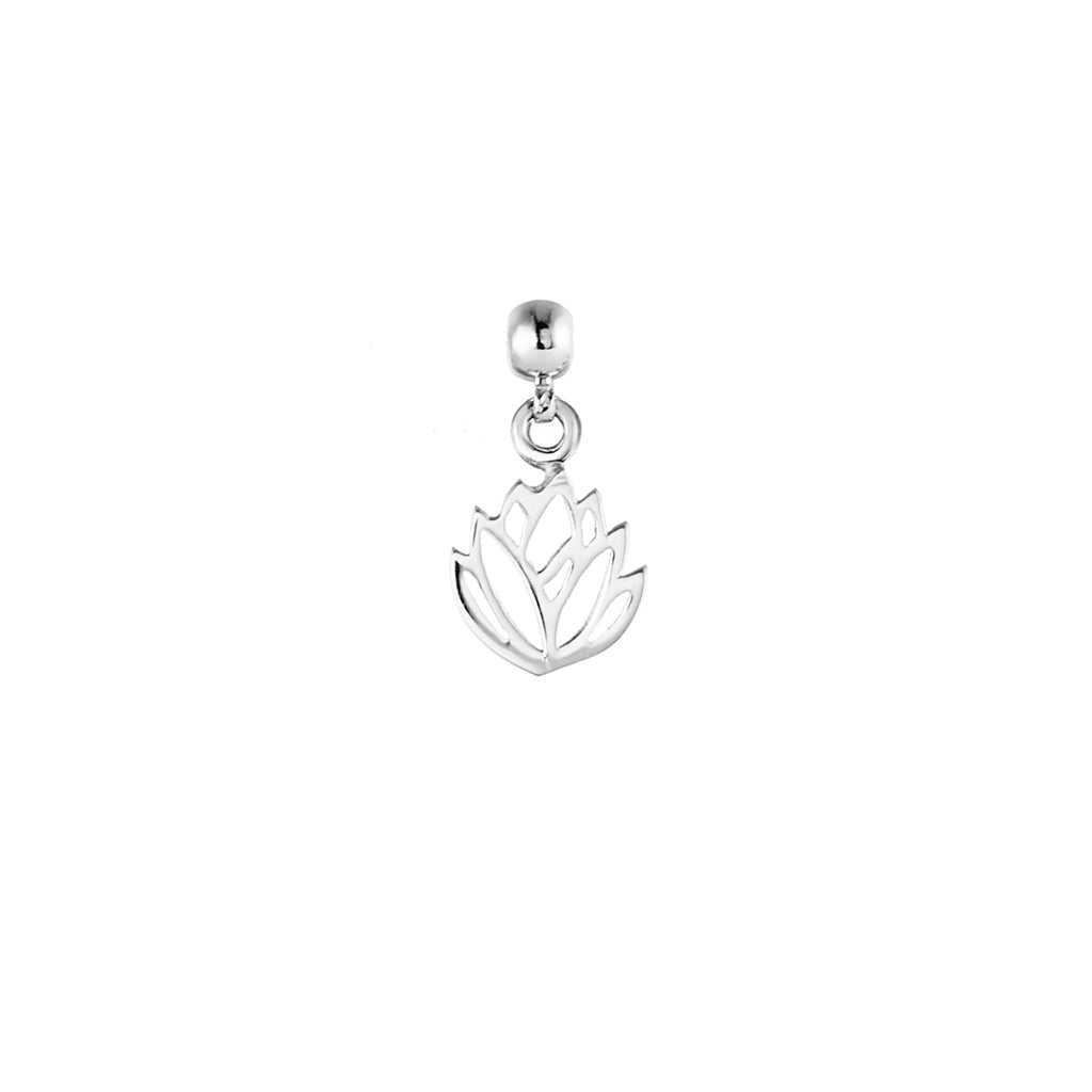 Protea Silver Charm