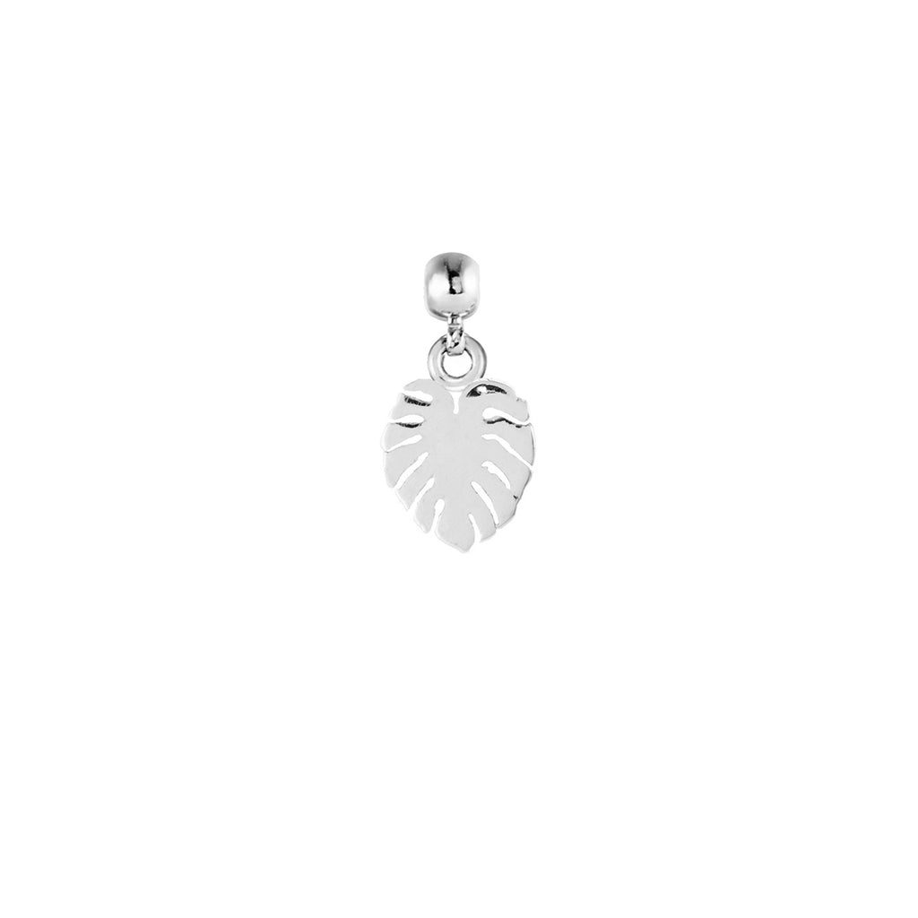 Delicious Monster Silver Charm