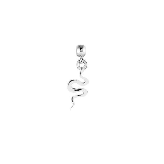 Snake Silver Charm