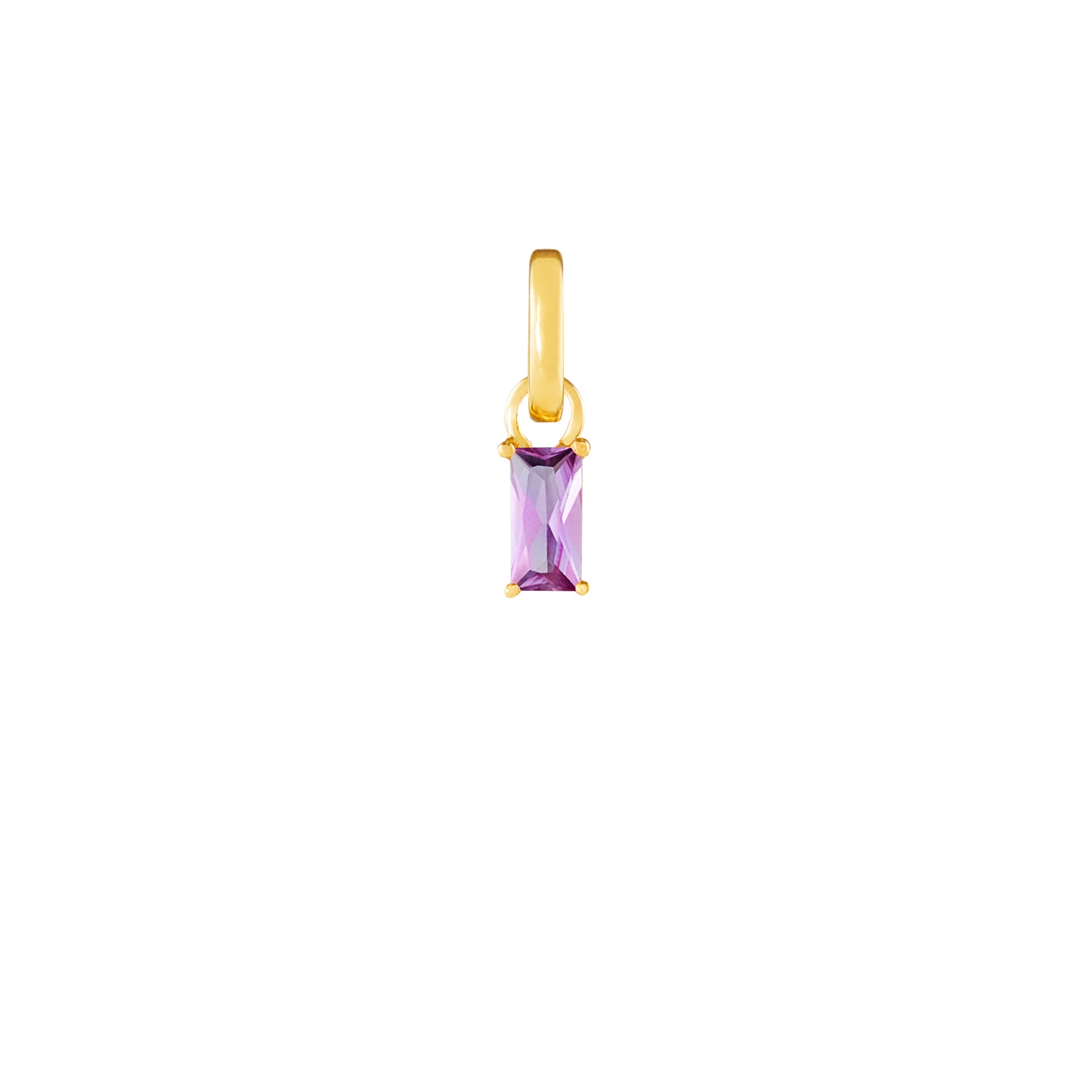 February Birthstone Gold Plated Clip Charm