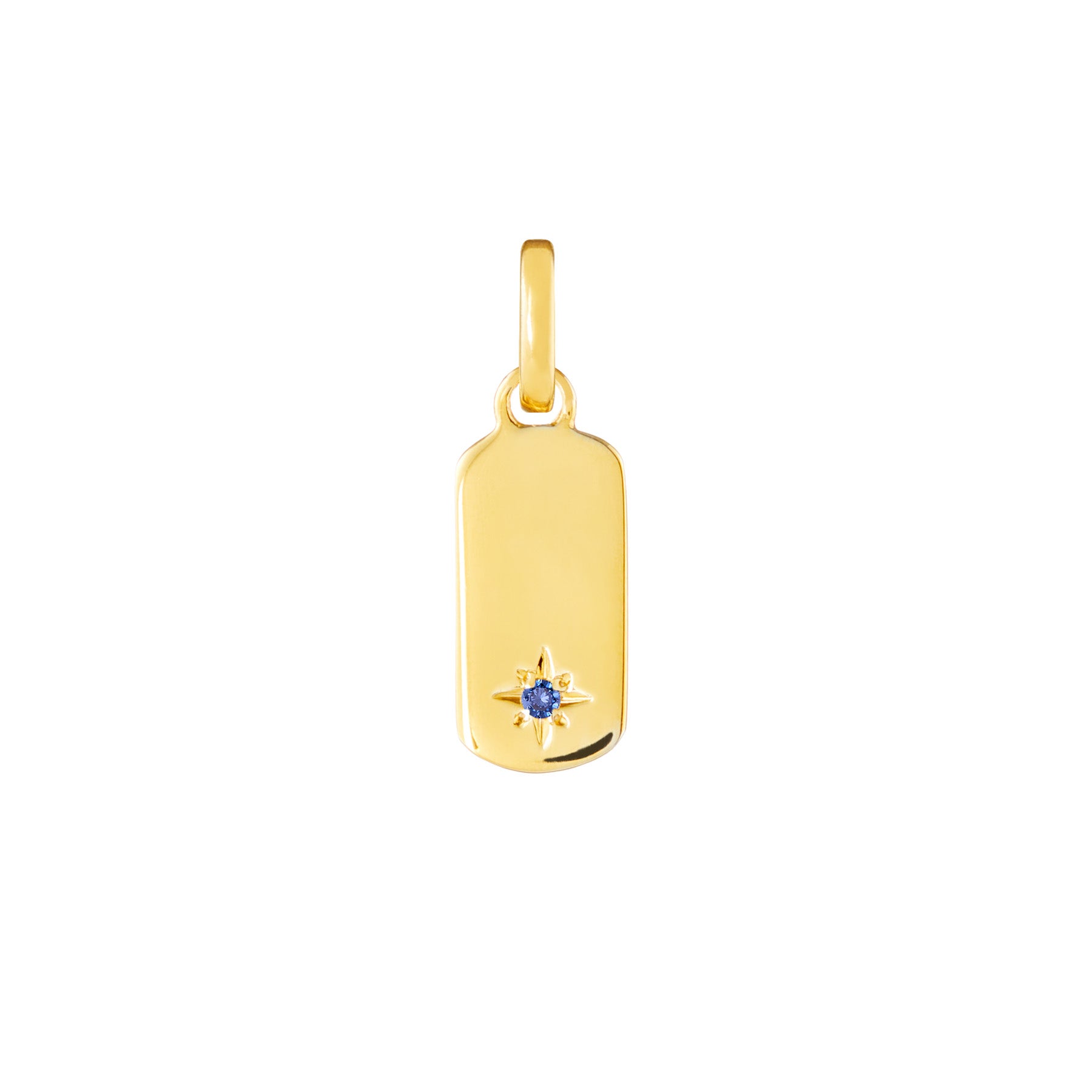 Birthstone Tag Gold Plated Clip Charms