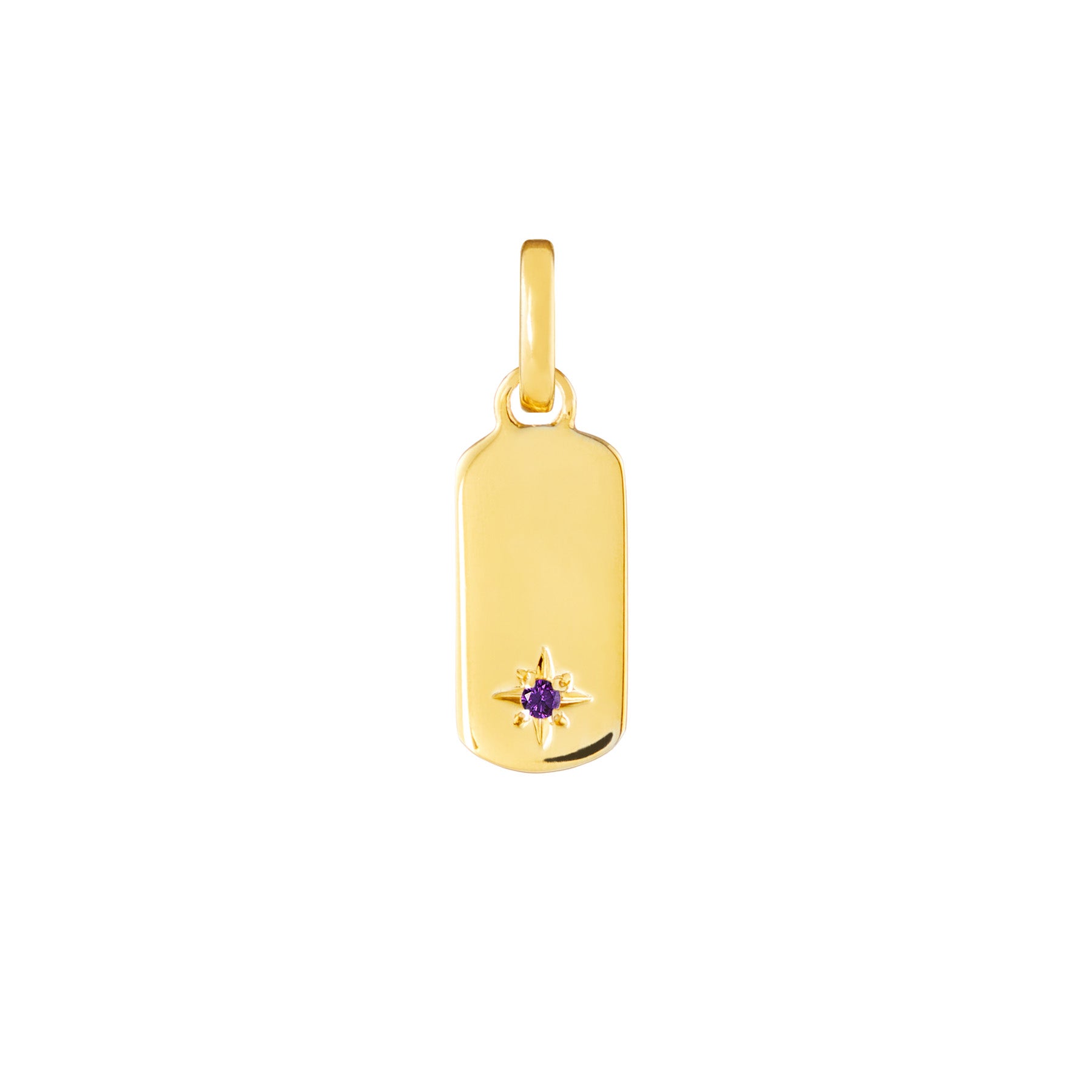 Birthstone Tag 9ct Gold Clip Charms
