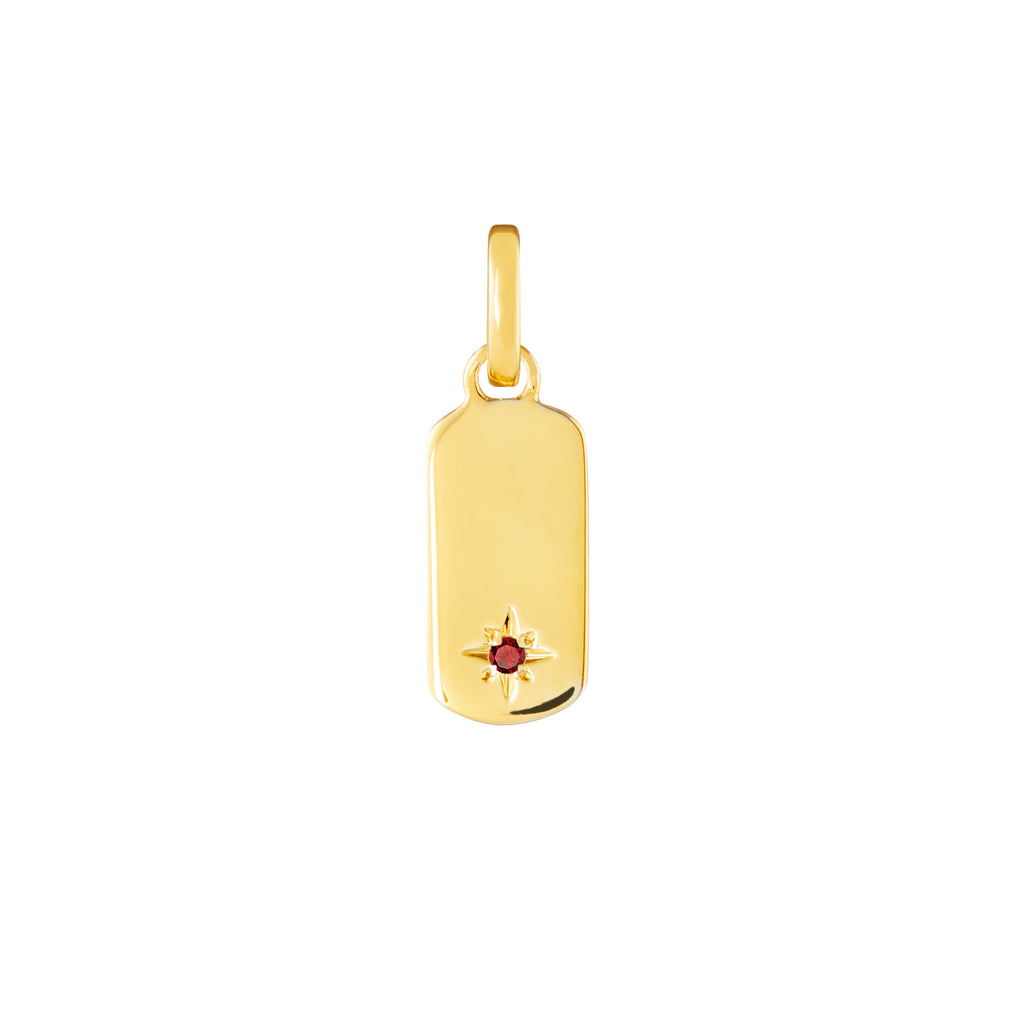 Birthstone Tag Gold Plated Clip Charms