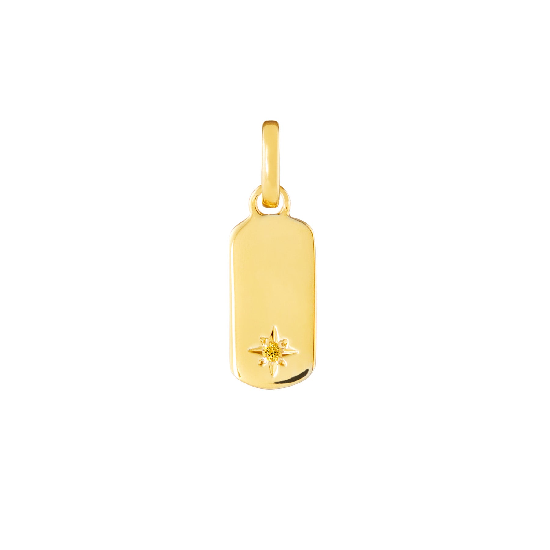 Birthstone Tag 9ct Gold Clip Charms