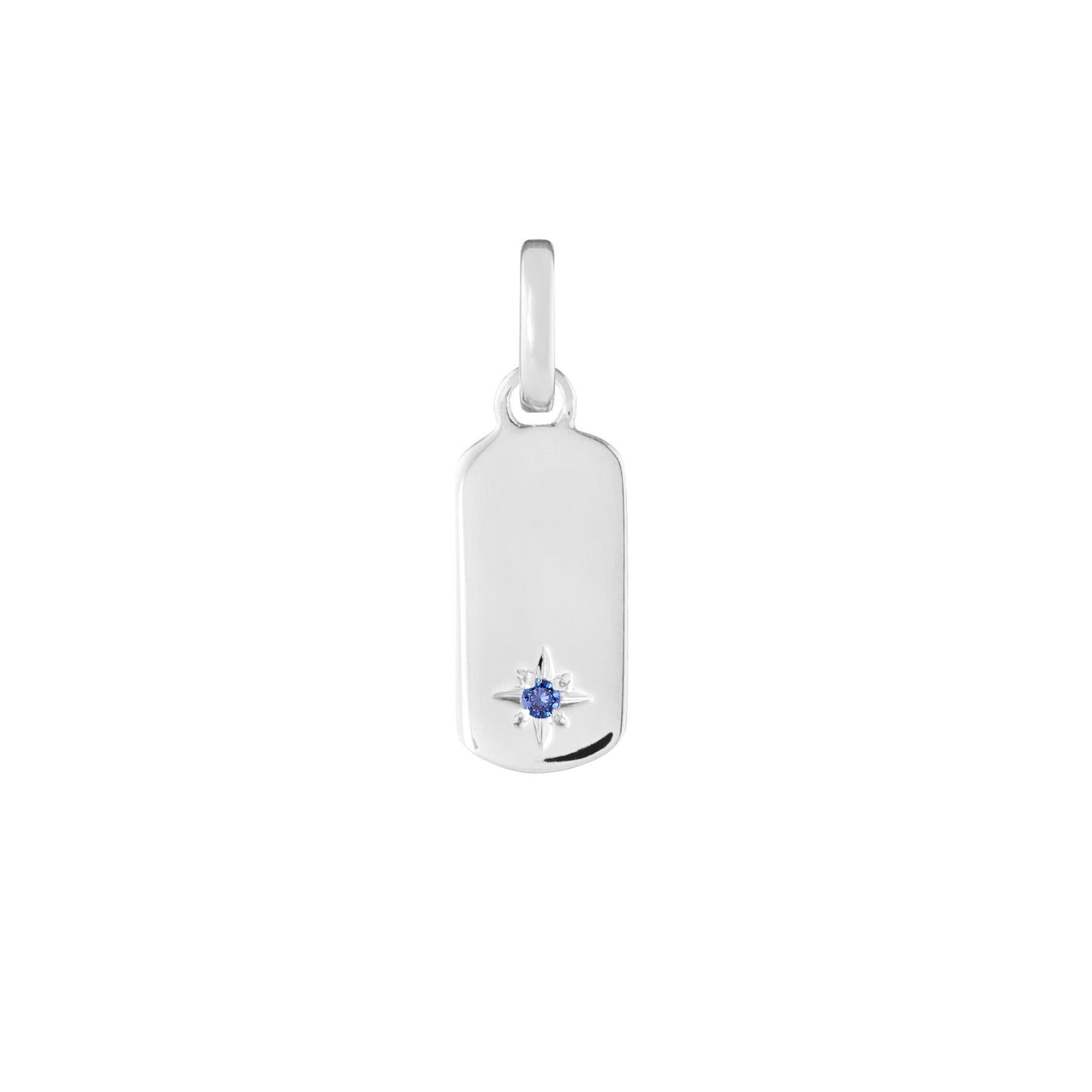 Birthstone Tag Silver Clip Charm