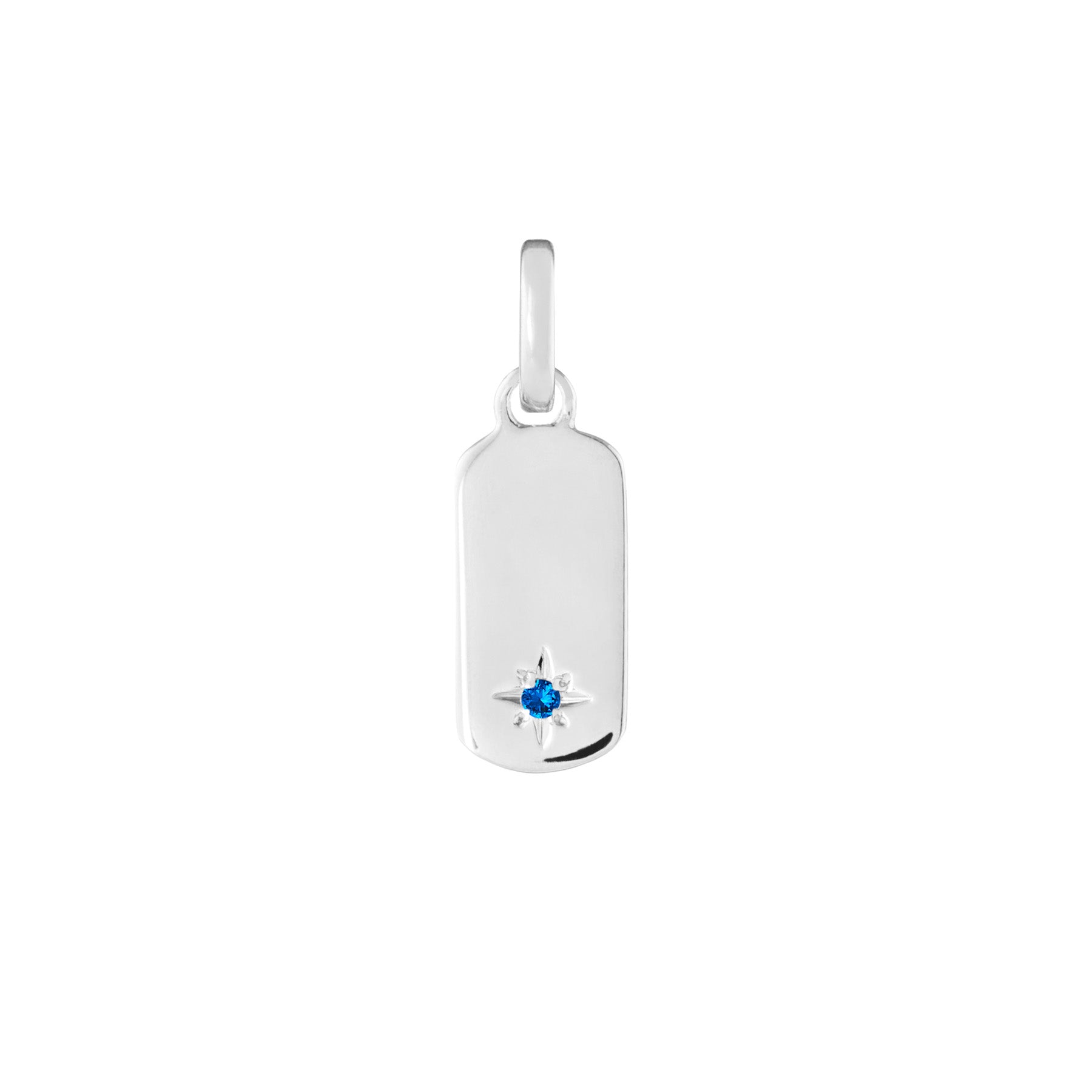 Birthstone Tag Silver Clip Charm